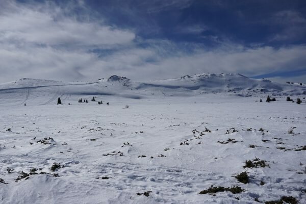 Vitosha bulgaria