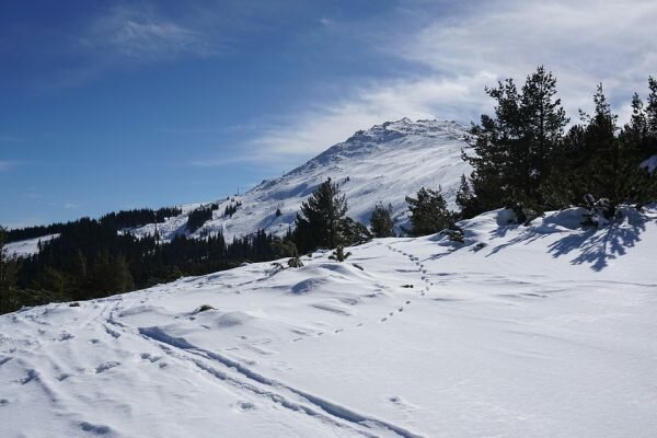 vitosha mountain